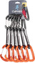 FIREFLY II 11CM QD 6 PACK