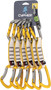 VESTA SPORT MIX 12CM QD 6 PACK