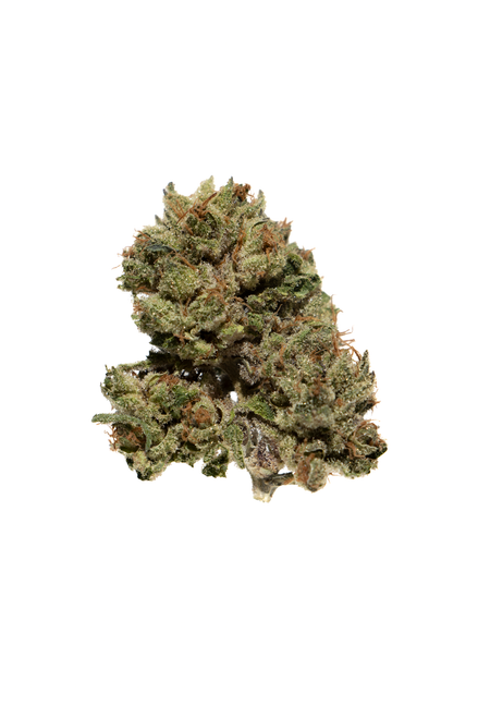 Payton's Strawberries - whole bud