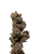 Skunk Jam - whole bud detail