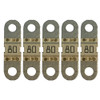 Victron MIDI-Fuse 80A\/58V M6 for 48V *Pack of 5 [CIP134080020]