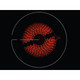 product picture additional picture