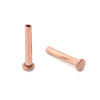 1/16" Dia. 3/8" Long Copper Rivet (50pcs.)