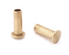 3/32" Dia. 1/4" Long Brass Rivet (50pcs.)