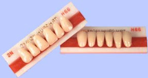 Dymon-Hue HPT Plastic Teeth