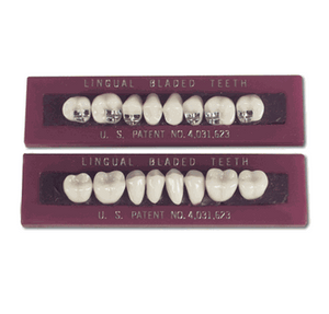 Levin Bladed Teeth 33 degree A2 30M