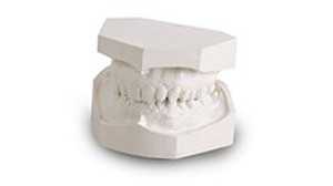 ORTHO PLASTER 25LB