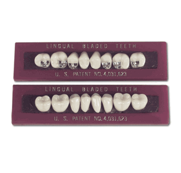 Levin Bladed Teeth 33 degree A2 30M