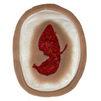 SiMoulage™ SFX 3" Silicone Generic Tissue Wound / Gunshot Exit  (Blood Line Compatible)