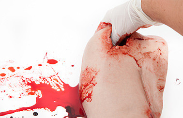 Simbodies Shoulder Wound Packing Trainer