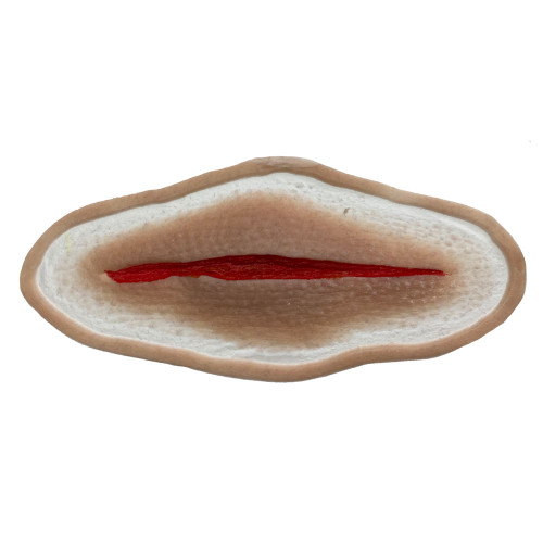 SiMoulage™ SFX 6" Silicone Simple Laceration (Blood Line Compatible)