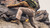 5.11 Tactical Stryke Pants worn with tactical boots, shown in action 5.11 Tactical Stryke Pants worn with tactical boots, shown in action