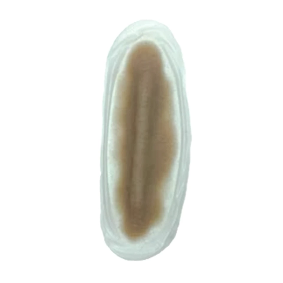 SiMoulage™ SFX Silicone Unilateral Raised Jugular Venous Pressure (JVP) Piece