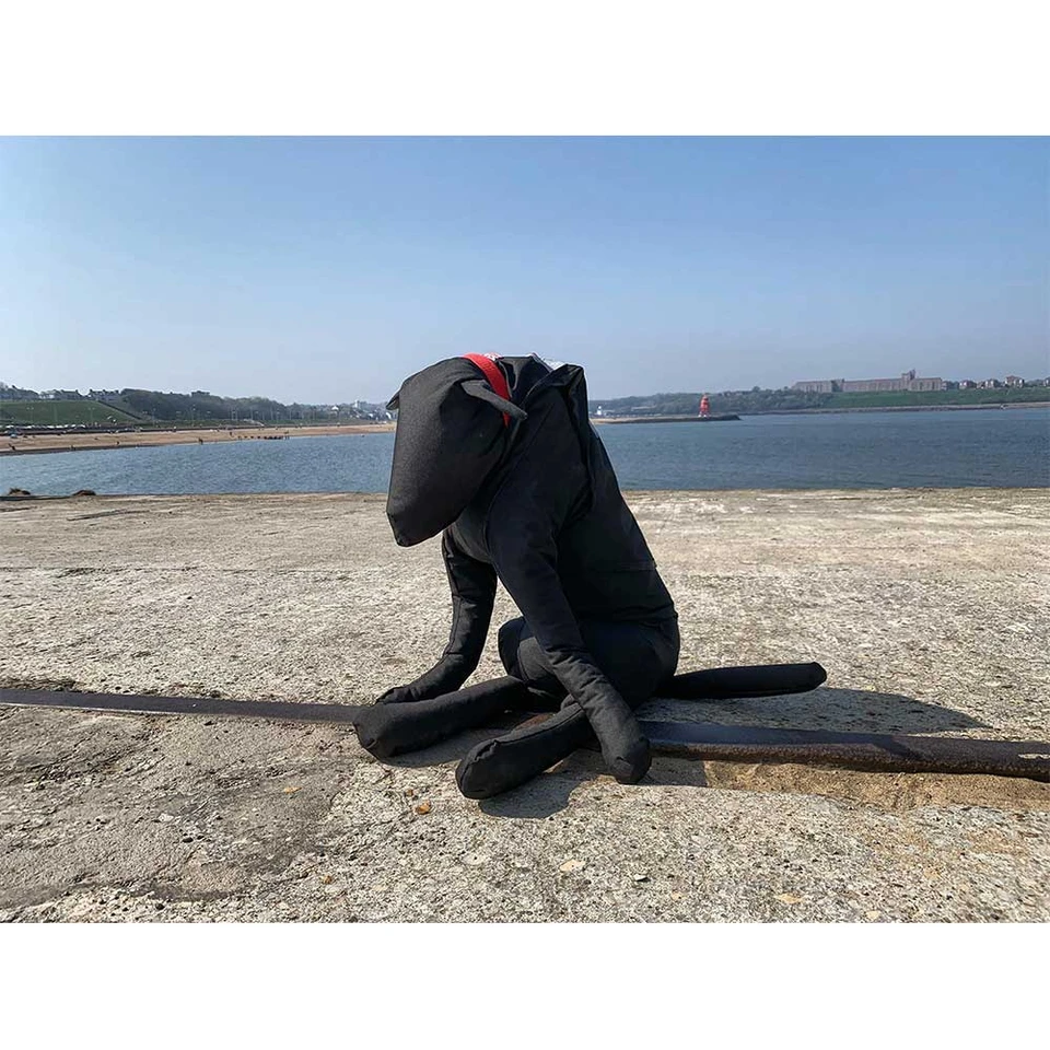 a black ruth lee dog/canine manikin alone on a beach