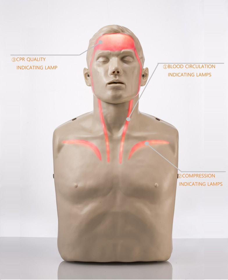 Brayden Advanced Adult Manikin