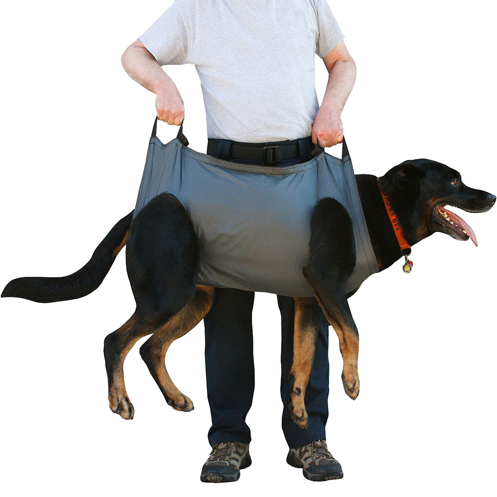 QuikLitter K9 Canine Transport Rip-Stop Stretcher