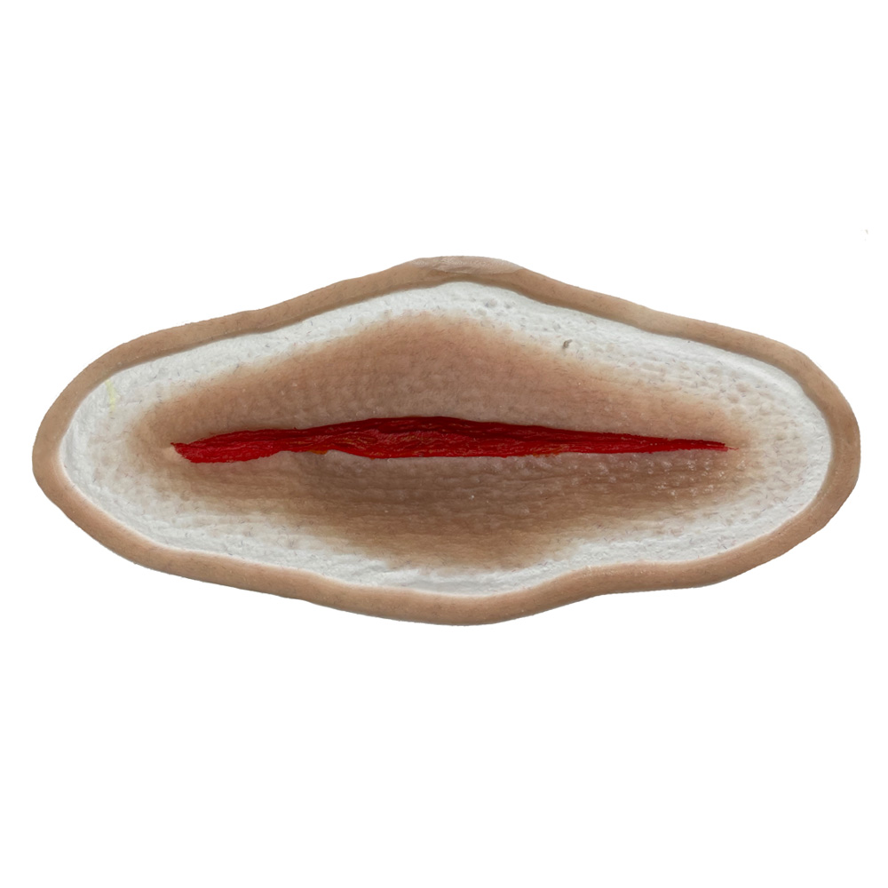 SiMoulage™ SFX 6" Silicone Simple Laceration (Blood Line Compatible)