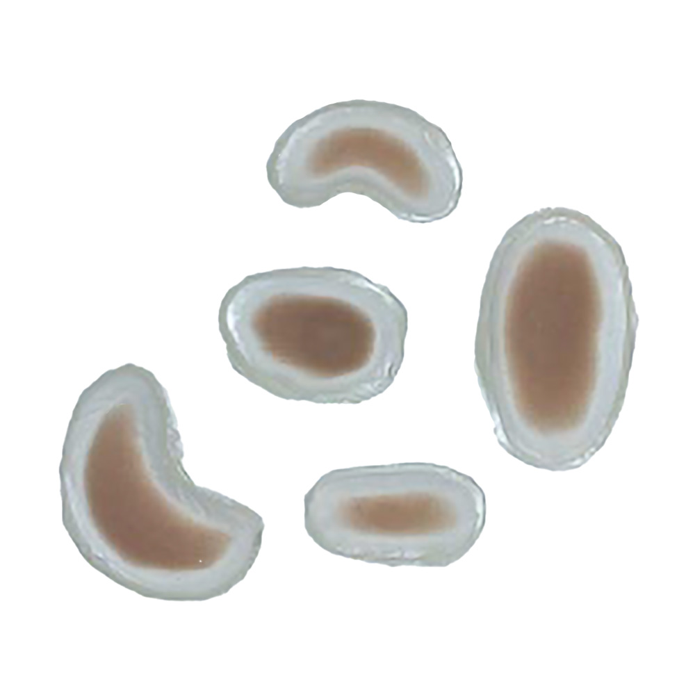 SiMoulage™ SFX Silicone Set of 6 Differing Sized Swellings
