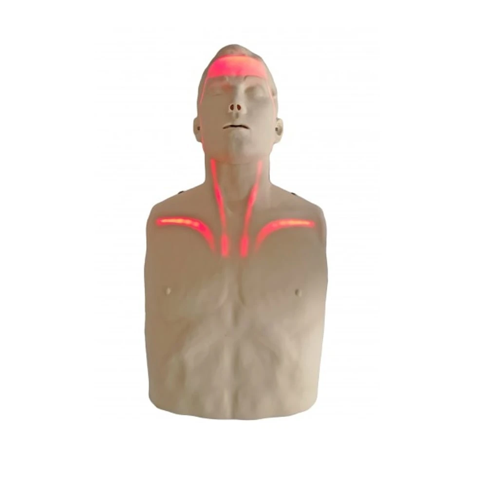 Brayden Advanced Adult Manikin