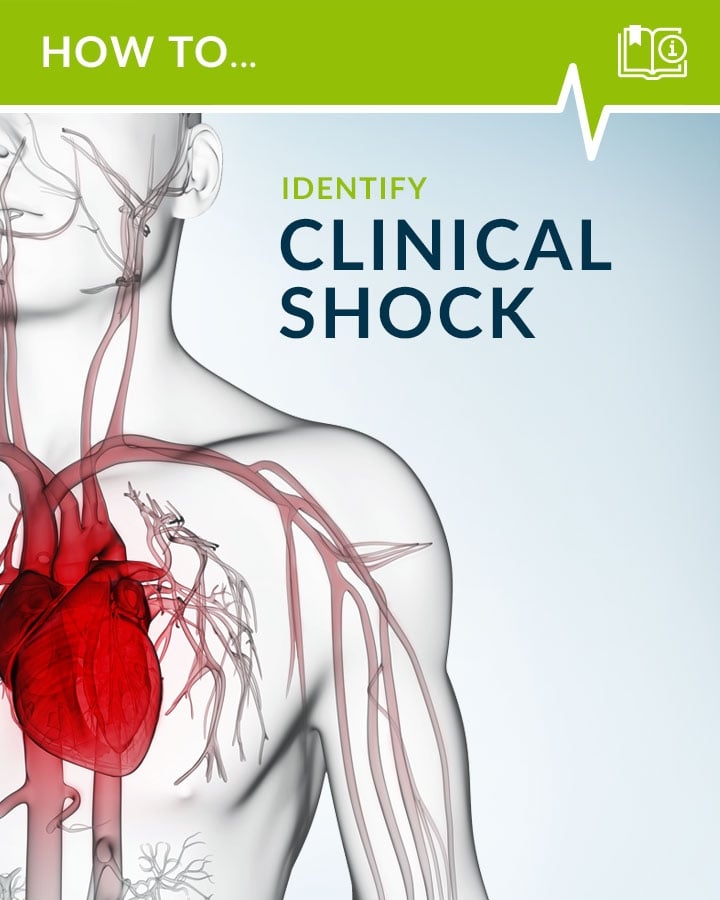 medical shock symptoms