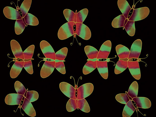 "Rainbow Butterfly"