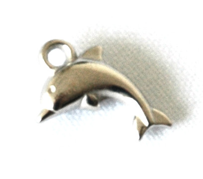 Set of 12 Dolphin Charm