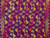 Purple Multi Colored Butterfly Sarong