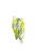 Mens Floral Sarong "Canary Island" Yellow and Green