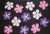 Sarong for Men Hawaiian Floral Sarong in Black/Pink/Purple Sarong for Men Hawaiian Floral Sarong in Black/Pink/Purple