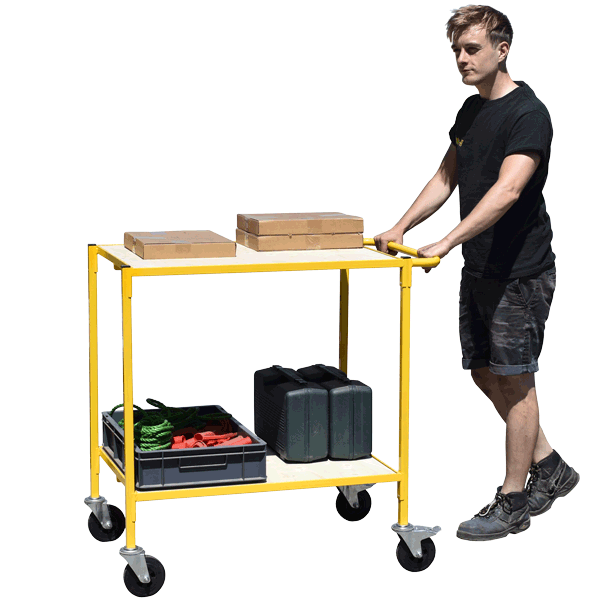 Carro de servicio con estantes con carga