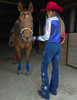 Pull-On Stars Trouser