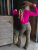 Brown Leopard Trousers