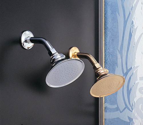 P0010 Shower Head