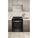 5.0 Cu. Ft. Whirlpool® Gas Range with Frozen Bake™ Technology WEG515S0LV