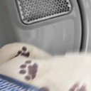 Maytag® 7.4 Cu. Ft. Pet Pro Top Load Electric Dryer with Extra Power and Sanitize Cycle YMED7205RW
