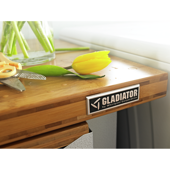 Gladiator® 30 Solid Shelf GAWA30SFRG