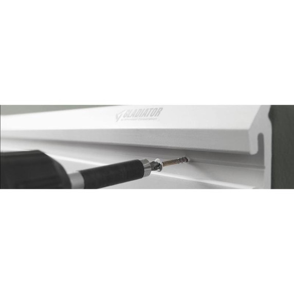 Gladiator® Color Matched Screws (32-Pack) GAAC0232YY