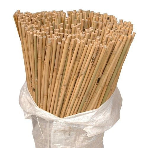 10 x 6FT (180cm) Bamboo Canes
