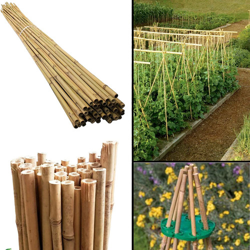 20 x 6FT (180cm) Bamboo Canes