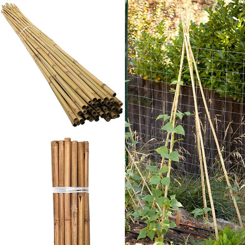 100 PIECE 8FT BAMBOO CANES STICKS