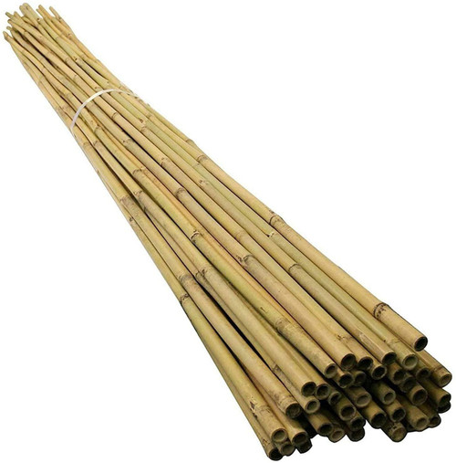 25 x 2ft (60cm) Bamboo canes