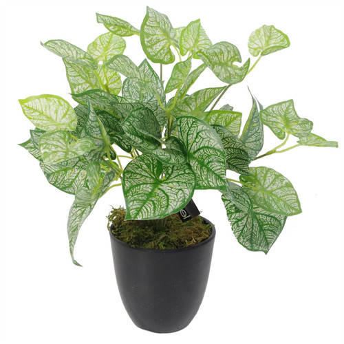 40cm Artificial Caladium Plant with pot