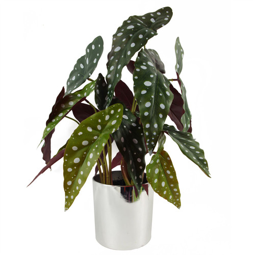 40cm Artificial Begonia Maculata Plant