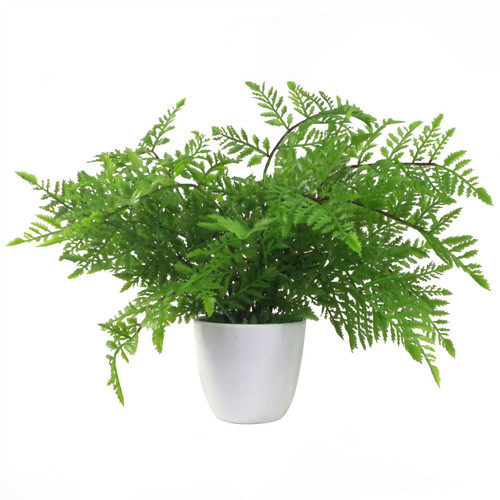 30cm Artificial Potted Southern Wood Fern