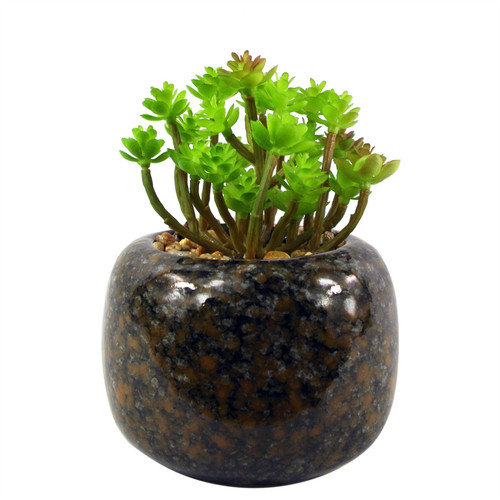 14cm Ceramic Spotted Planter with Artificial Sedum Clavatum Plant