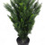 120cm Artificial Cedar Cypress Topiary UV Resistant