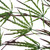 Pack of 12 x 100cm Artificial Hanging Acer Spider Plant