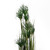 120cm Artificial Ornamental Grass Plant