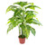 100cm Large Fox's Aglaonema (Spotted Evergreen) Tree Artificial Plant