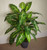 100cm Large Fox's Aglaonema (Spotted Evergreen) Tree Artificial Plant with Copper Metal Planter